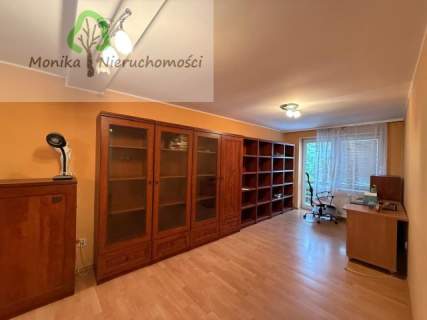 Dom z lokalem gastronomicznym 229 m2 620 m2 działki centrum 