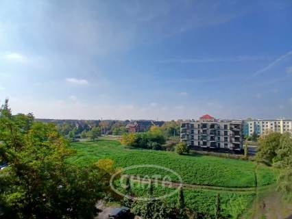 4 pokoje/pełen rozkład/winda/Orzechowa/Gaj