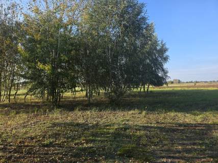 Cicha okolica, prąd i gaz przy działce, blisko szkoła PKP