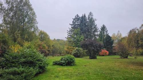 GŁOGOCZÓW, wyjątkowy dom drewniany, działka 49a