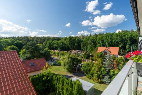 2 pokoje z widokiem na las Stara Miłosna
