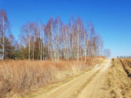 Piękna działka rekreacyjna na zaciszu - Karczmiska
