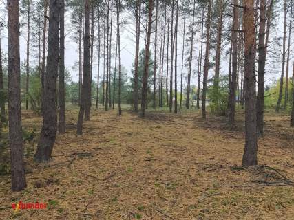 Sąsieczno działka budowlana z WZ 1143 m2 spokojna okolica obok...