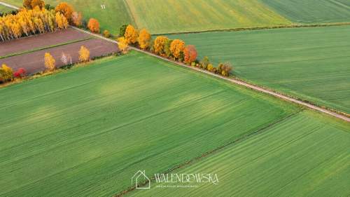 Działki w Sierakowie duże powierzchnie, potencjał i bliskość...