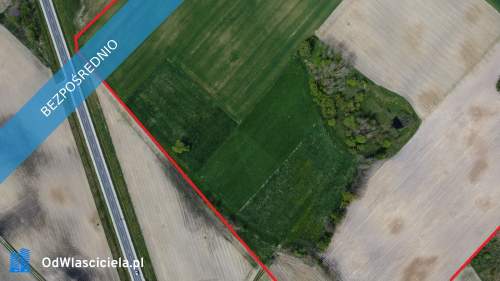 11 ha w jednym kawałku foremna działka 8 km od Lipna