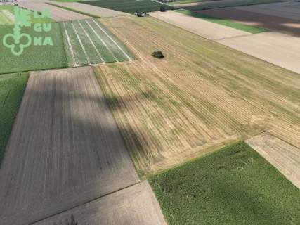 Działka rolna 1,99 ha - Siemianów, gm. Strzelce