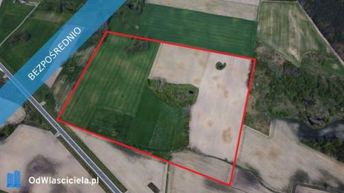 11 ha w jednym kawałku foremna działka 8 km od Lipna