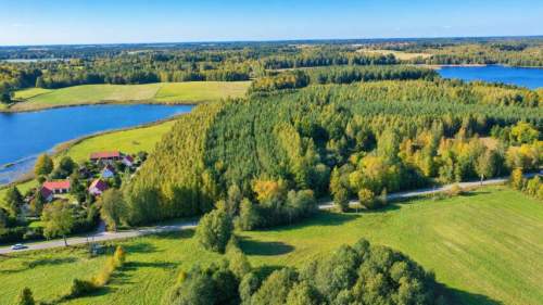 Własny las w sercu Mazur w pobliżu jeziora