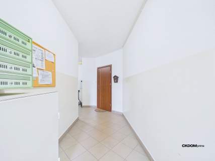 Mieszkanie 2 pokoje z balkonem w świetnej lokalizacji w Busku-Zdroju