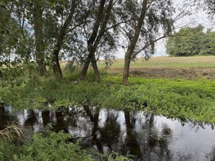 Działka inwestycyjna na sprzedaż, 12000 m2, Słupca