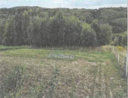 Działka rolna na sprzedaż, 5600 m2, Barycz