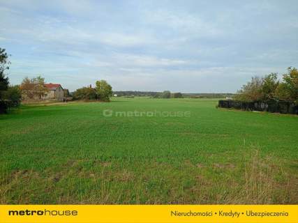 działka budowlana 3000m2 Korzeń/Łąck z MPZP