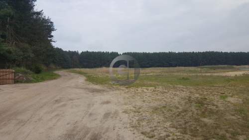 ATRAKCYJNA DZIAŁKA PRZY ZALEWIE W DZIERŻOWIE 