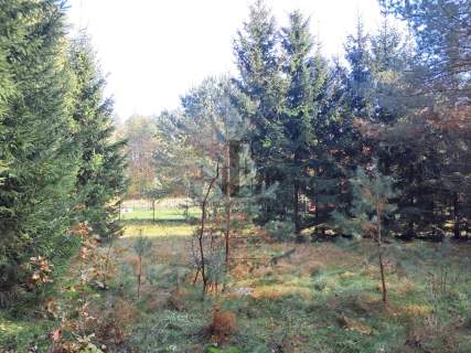 Działka Ruciane-Nida ul. Kowalik, 1.000 m2, MPZP