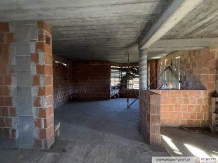 Dom, 250 m2, Gołęczyna, gm. Pilzno