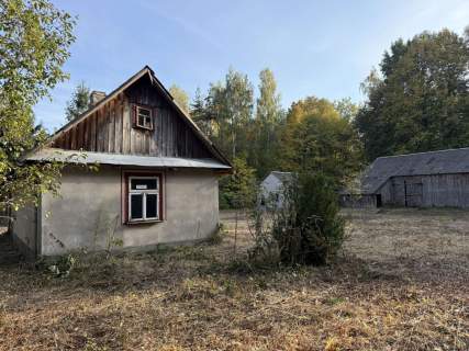 Tchórzew 164 siedlisko z lasem i ogromnym potencjałem