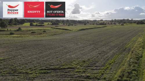 Działka budowlana na sprzedaż, 20901 m2, Strużyna