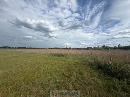 Działka 1200 m2 Pustelnik