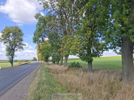 Działka inwestycyjna Suchożebry przy DK63 