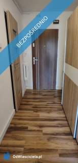 Do wynajęcia mieszkanie 2 pokoje z balkonem 49m2 Os. Tysiąclecia...