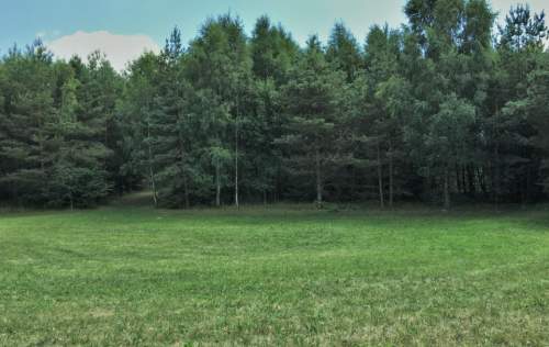 Łebno działka siedliskowa inwestycyjna 8 ha