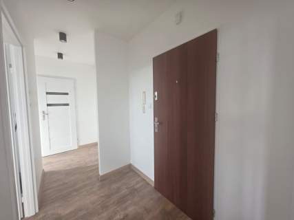 2 pokoje po remoncie-do wejścia