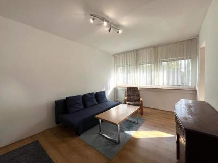 Drewnowska 130, Polesie, kawalerka pet friendly