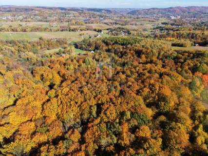 NA SPRZEDAŻ LAS BUKOWY 68,58 AR - GLINIK ŚREDNI, DOGODNY DOJAZD