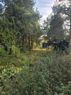 Lokal użytkowy na sprzedaż, 254 m2, Wojkowice