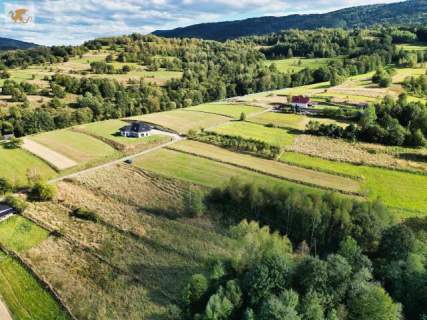 Działka z częścią budowlaną Tenczyn 3503 m2 gm. Lubień