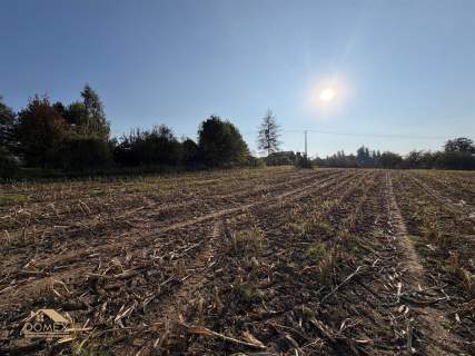 Działka budowlana 1556 m Międzyświeć
