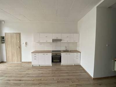 Mieszkanie do wynajęcia, 50 m2, Konin