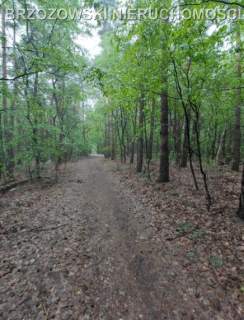 Stara Wieś, Nadarzyn, 1100 m2, MPZP, mieszkaniowa