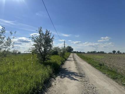 Działka inwestycyjna na sprzedaż, 2010 m2, Lednogóra