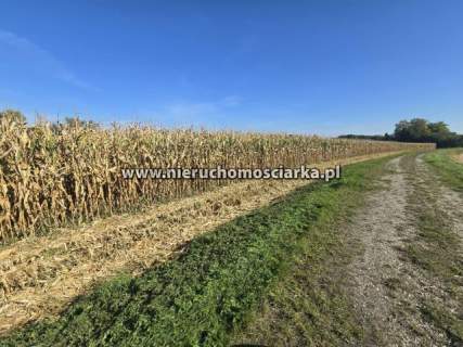 Działka rolna 45 arów Buków