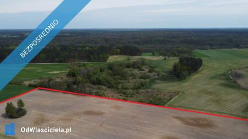 11 ha w jednym kawałku foremna działka 8 km od Lipna