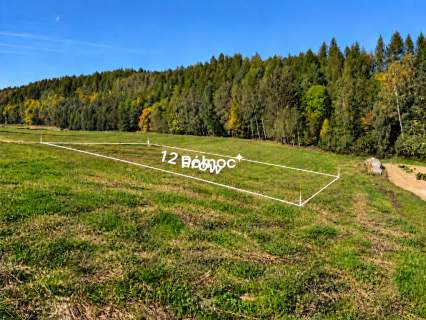 Działka z WZ przy lesie   Majdanek, gm. Tomaszów Lubelski