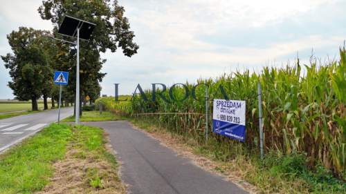Działka, budowlana, Brąchnowo/gmina Łubianka