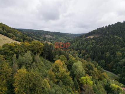 Widokowa działka 1,01 ha w sercu Gór Sowich Sokolec