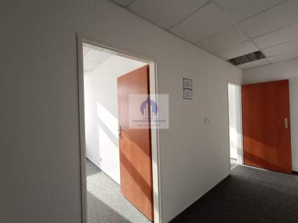 Śródmieście lokal biurowy 38m2 do wynajęcia