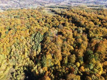 LASY NA SPRZEDAŻ - RÓŻNE POWIERZCHNIE -CENY -POWIAT JASIELSKI