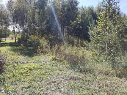 Działka Teodorów - 1025 m2