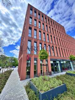 Witryny, szyld reklamowy, parter, Toruń centrum