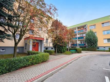 Ustawne 3- pokojowe mieszkanie Balkon Duża piwnica