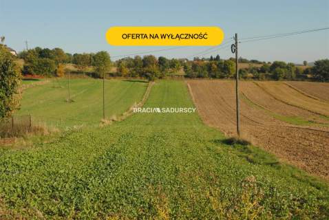 Działka budowlano-rolna w Brzeziu gm.Kłaj