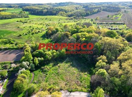 XVII-wieczny pałac, 300-letni park, działka 28ha