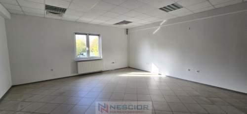 Przestronny lokal biurowy, wynajem.