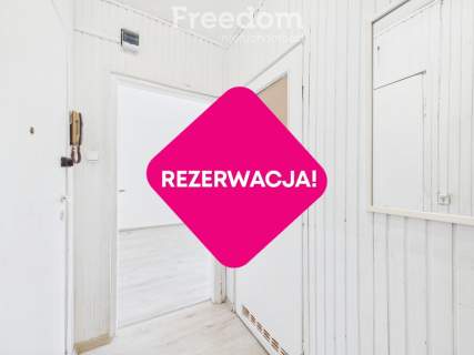 Przytulna kawalerka z oddzielną kuchnią i piwnicą