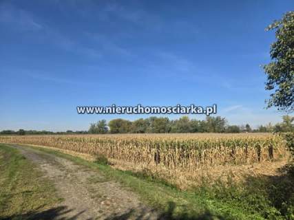 Działka rolna 45 arów Buków