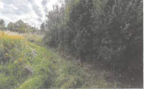 Działka rolna na sprzedaż, 5600 m2, Barycz